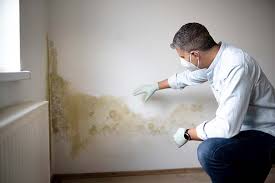 Best Attic Mold Removal  in Maple Bluff, WI